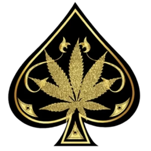 ACE ULTRA PREMIUM